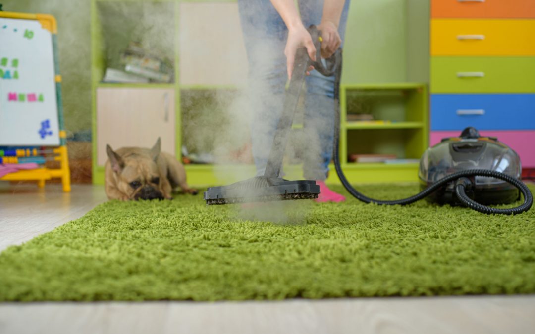 Carpet Steam Cleaning – Ideal For Durable Cleaning